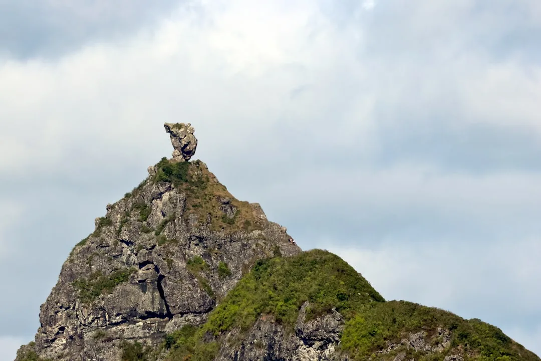 découvrez le pyrénées mastiff, un chien de grande taille réputé pour sa douceur, sa loyauté et son rôle de protecteur. idéal pour les familles et la garde, il est aussi apprécié pour sa beauté majestueuse et son tempérament paisible.