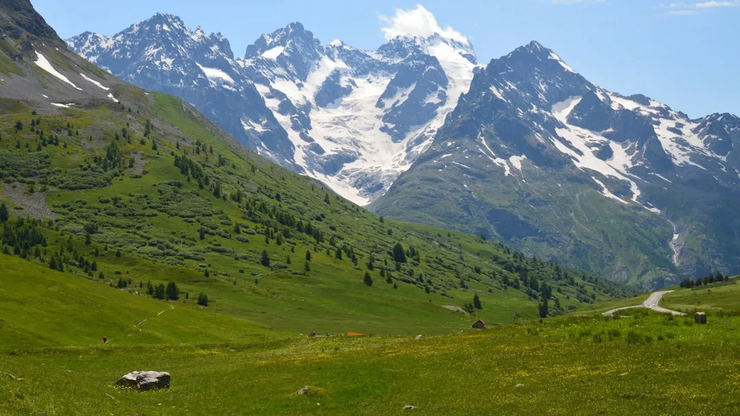 découvrez le pyrénées mastiff, un chien de montagne majestueux, connu pour sa loyauté, sa force et son tempérament doux. parfait pour les familles et la protection, apprenez-en plus sur ses origines, son caractère et ses besoins.